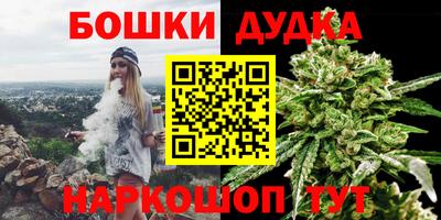 стаф Лесосибирск