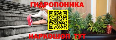 стаф Лесосибирск