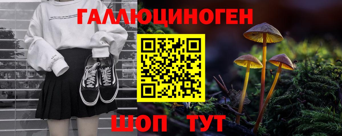 Галлюциногенные грибы мицелий  Вход с VPN  Дмитров  Галлюциногенные грибы GOLDEN TEACHER 
